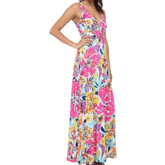 Lilly Pulitzer Amanda Besame Mucho Pink Blue Floral Maxi Dress Size XL - Picture 2 of 15